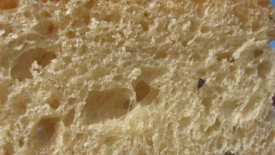 Pane in lastre di lievito naturale con purea di zucca e semi