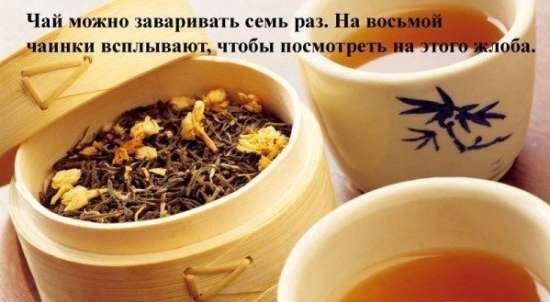 Fermented tea made from leaves of garden and wild plants (master class)