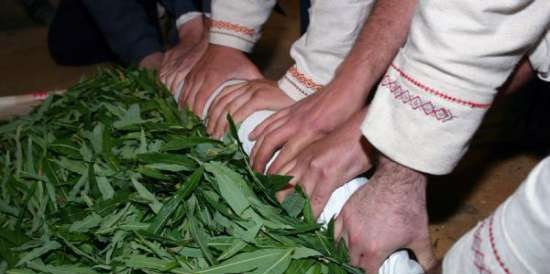 Ivan tea (fermentation of fireweed leaves) - master class