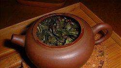 Fermented tea made from leaves of garden and wild plants (master class)