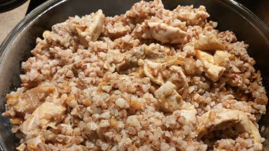 Grano saraceno stufato con petto di pollo e funghi nella pentola a pressione multicooker Steba DD1