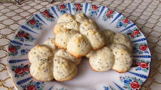 Lemon biscuits with poppy seeds (Tescoma dough press syringe)