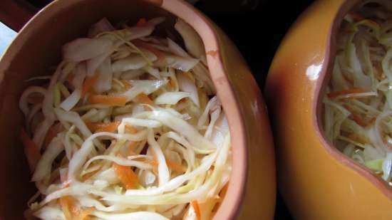 Pork baked with turnips and sauerkraut in pots