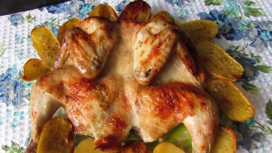 Baked chicken (marinated with cabbage brine)