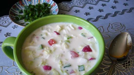 Okroshka con queso Adyghe en ryazhenka