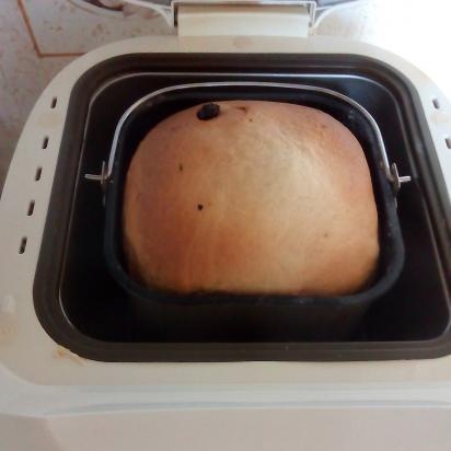 Scarlett Bread Maker