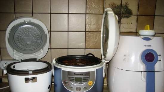 Multicooker Redmond RMC-01