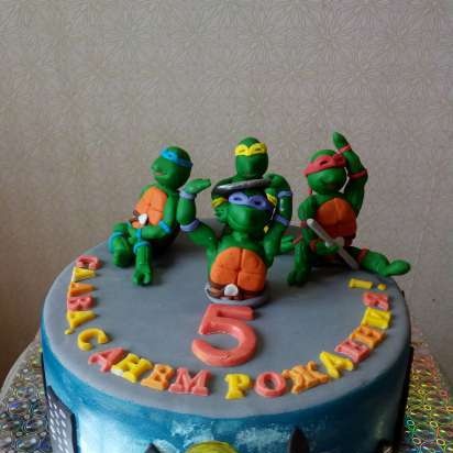 Teenage Mutant Ninja Turtles Cakes