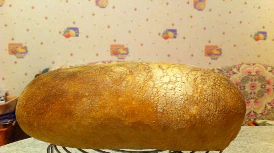 Italian bread (Ann Thibeault) in the oven