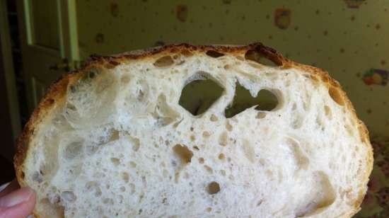 French modern sourdough (liquid)