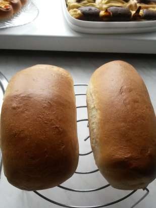 Pastel de leche en el hogar (horno)