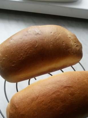 Pastel de leche en el hogar (horno)