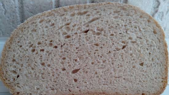 Pane di segale e grano per principianti (al forno)