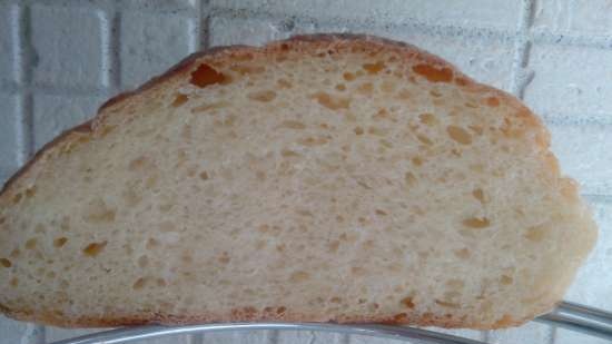 Pagnotta di kefir per principianti (al forno)