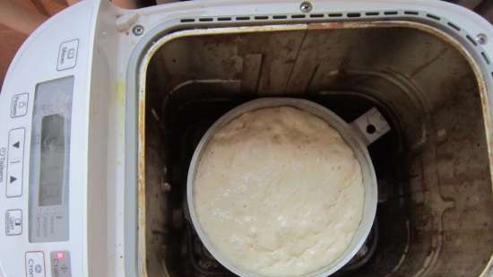 Dough for tortillas, pizza, khachapuri in 5 minutes a day