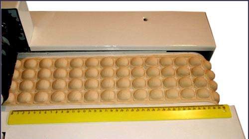 Poll: Do you need a dumpling machine for the width of a dough sheeter-noodle cutter?