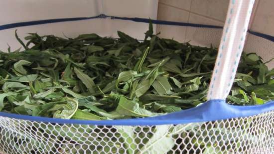 Ivan tea (fermentation of fireweed leaves) - master class