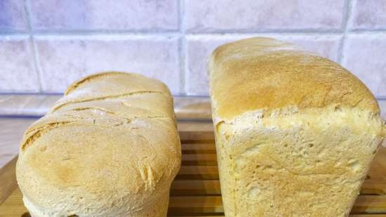 Whey Wheat Corn Bread (Steba KB28ECO)