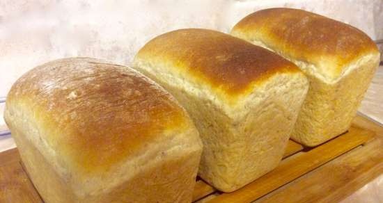 Tarwebrood met muesli Bud Zdorov (Steba KB28ECO mini-oven)