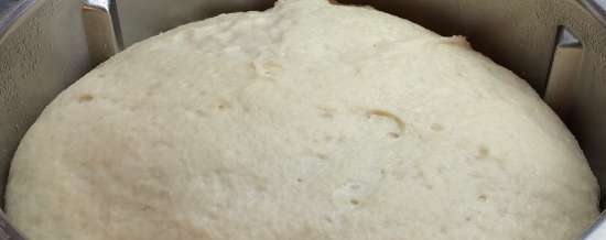 Wheat bread na may semolina T (DeLonghi FH1394 / TM31 multi-oven)