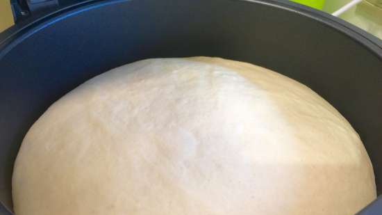 Pane di grano con semolino T (forno multiplo DeLonghi FH1394 / TM31)