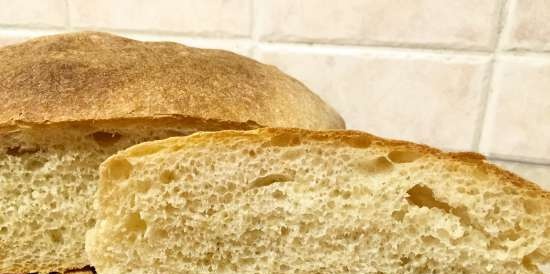 Wheat bread na may semolina T (DeLonghi FH1394 / TM31 multi-oven)