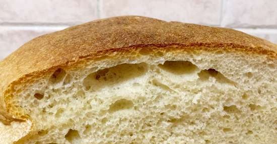 Wheat bread na may semolina T (DeLonghi FH1394 / TM31 multi-oven)