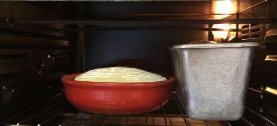 Pane di grano con semolino T (forno multiplo DeLonghi FH1394 / TM31)