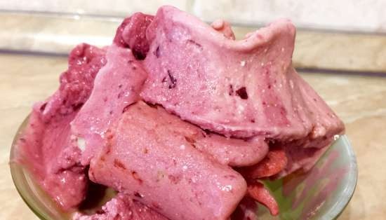 יצרנית גלידה Yonanas Maker Treat Frozen