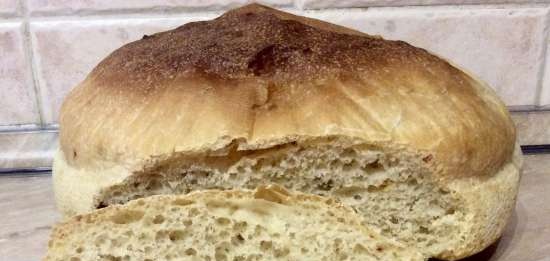 Wheat bread na may semolina T (DeLonghi FH1394 / TM31 multi-oven)