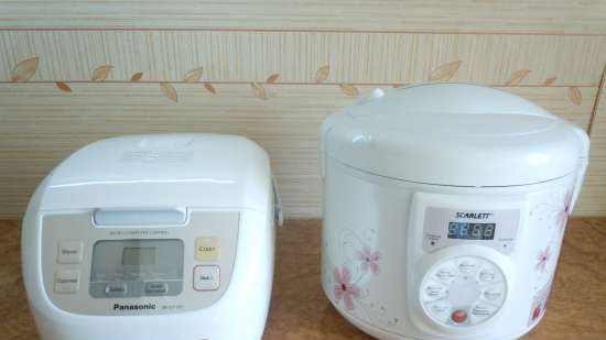 Multicooker Panasonic SR-DY101WTQ