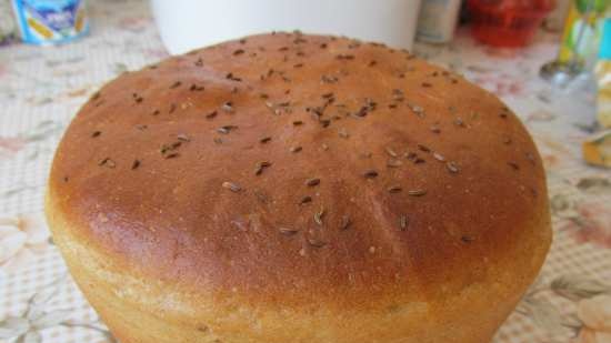 Pane di segale con proteine