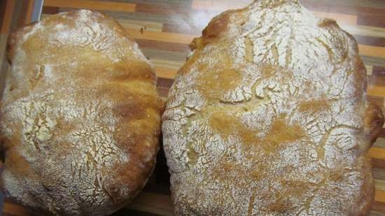 Pane vecchio di Como (Pane di Como Antico) nel forno