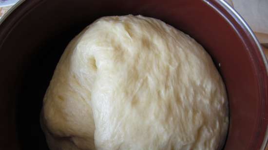 Kulich with Myasoedovskaya in the oven (master class)