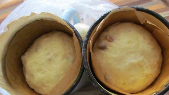 Kulich with Myasoedovskaya in the oven (master class)