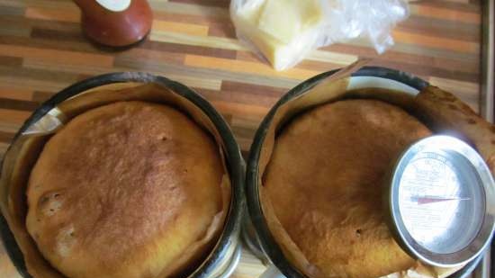 Kulich with Myasoedovskaya in the oven (master class)