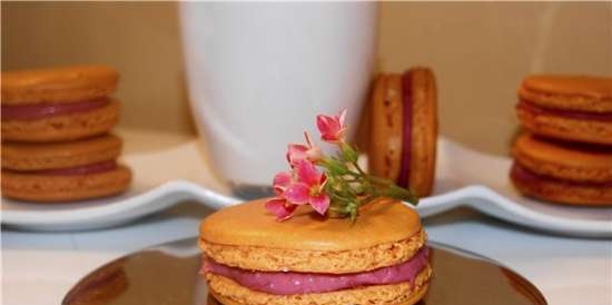 Alain Ducasse Macarons