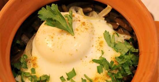 Fern baked in a pot with egg