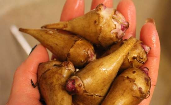 Bahagi ng mga casserole na may manok at Jerusalem artichoke sa isang zucchini