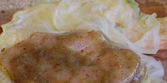 Petto di pollo in una mano di cavolo cappuccio su un cuscino di cipolla