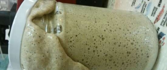 Pane di grano tenero con farina integrale su lievito liquido con fibra di Ivan-tea