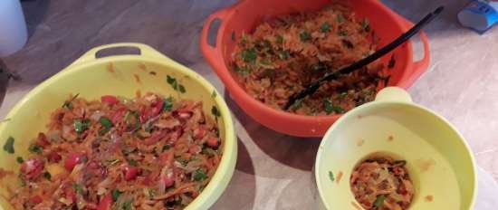 Preparaciones de verduras y carne para sopas, papilla en olla de cocción lenta y olla de sopa