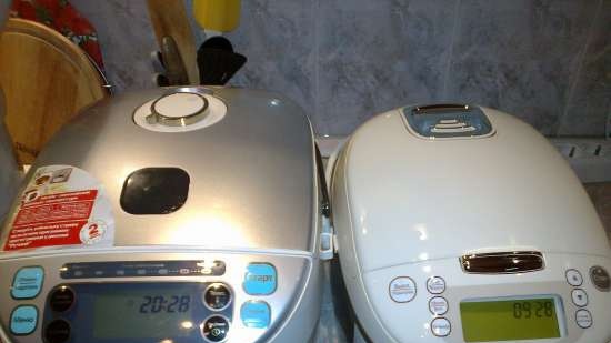 Multicooker Zelmer EK1300