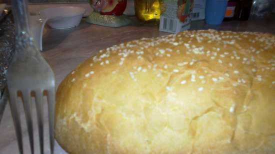 Indian tortillas NAAN (bread maker + oven)