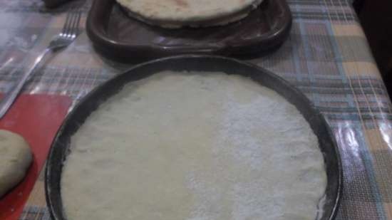 Pizzamakers Princess 115000, Travola SW302T, Fagor MG-300