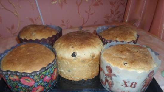 Kulich with Myasoedovskaya in the oven (master class)