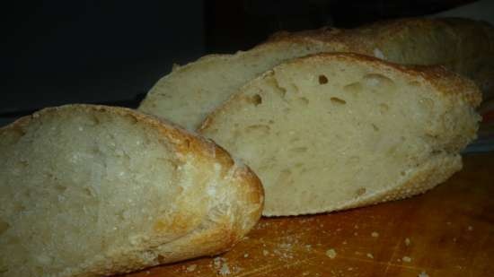 Stokbrood op oud deeg / Baguette de pate fermentee (oven)