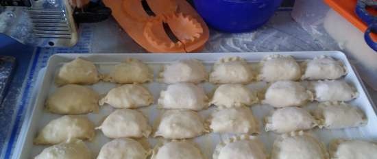 Dumplings en dumplingsvorm