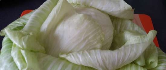 Kohlrouladen or common cabbage rolls