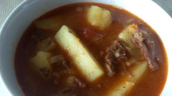 Meat (preparation) in the Steba pressure cooker